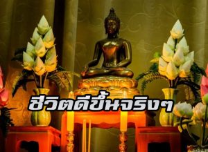 ชีวิตดีขึ้นจริง