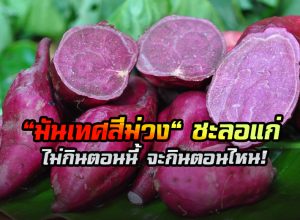 มันม่วง