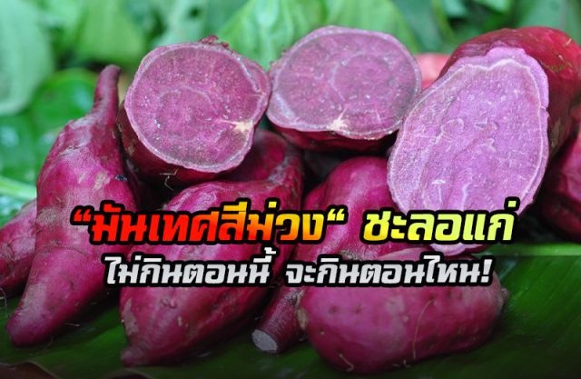 มันม่วง