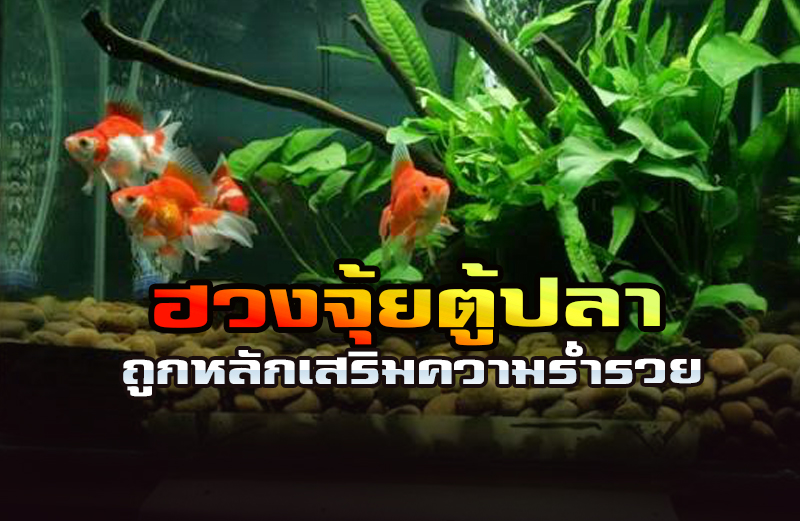 จัด จัด