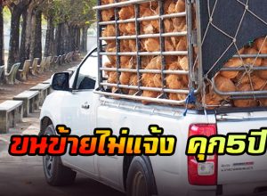ดันมะพร้าวสินค้าควบคุม