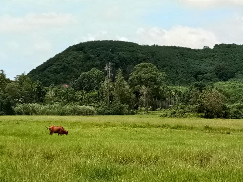 ประวัติ​  เขาพังไกร