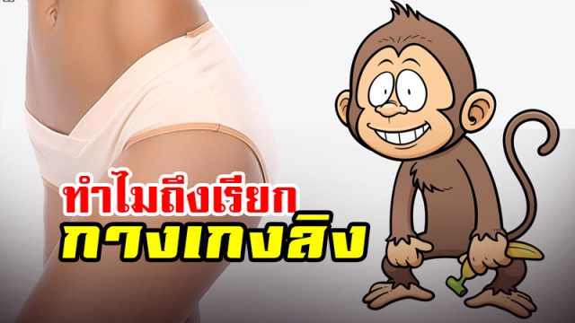 กางเกงลิง กางเกงลิง