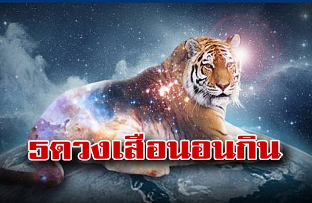 เปิด 5 ดวงเสือนอนกิน เปิด 5 ดวงเสือนอนกิน
