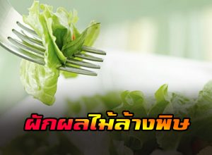 ผักและผลไม้ล้างสารพิษ