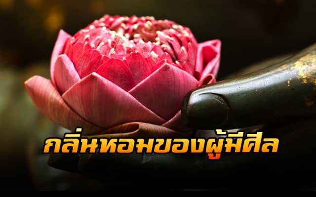 คนมีศีล คนมีศีล