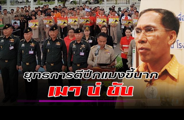 ยุทธการตีปีกแมงขี้นาก