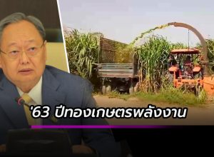 2563 ปีทองสินค้าเกษตรพลังงาน