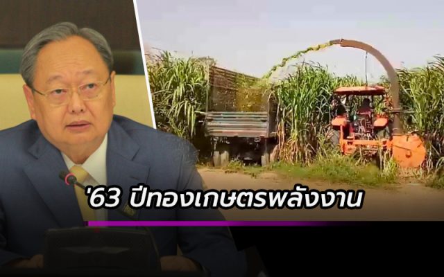 2563 ปีทองสินค้าเกษตรพลังงาน