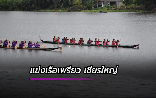 แข่งขันเรือเพรียว เชียรใหญ่ นครศรีธรรมราช