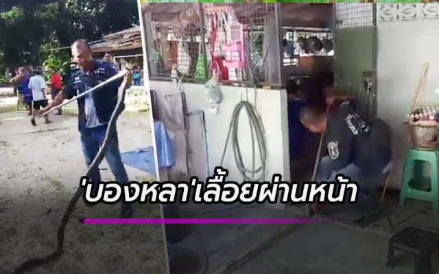 บองหลา บองหลา