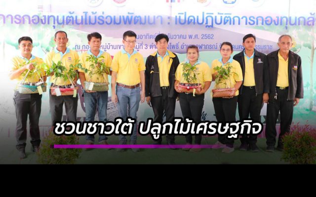 ชวนชาวใต้ ปลูกไม้เศรษฐกิจ ชวนชาวใต้ ปลูกไม้เศรษฐกิจ
