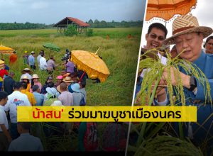 “รมต.สนธิรัตน์” ลุยร่วมเก็บเกี่ยวข้าวแปลงนาพุทธภูมิ