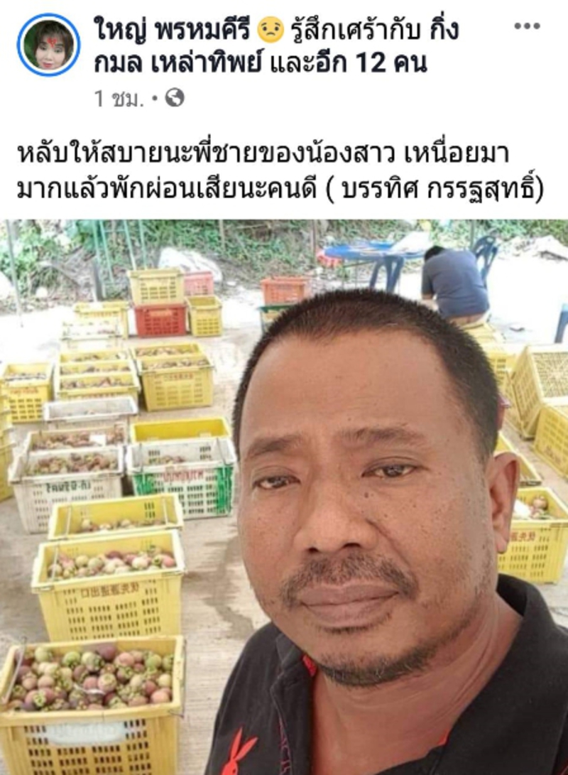 ล้งรับซื้อมังคุด 