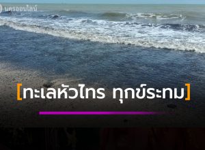 น้ำมันลึกลับ เต็มชายหาด
