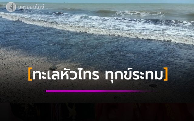 น้ำมันลึกลับ เต็มชายหาด