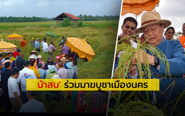 “รมต.สนธิรัตน์” ลุยร่วมเก็บเกี่ยวข้าวแปลงนาพุทธภูมิ