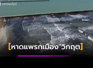 พบก้อนน้ำมันหน้า"หาดแพรกเมือง"จำนวนมหาศาล