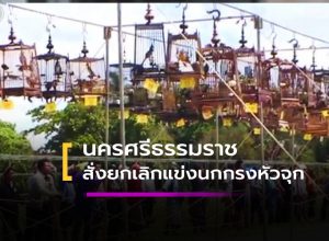 เมืองคอน สั่งยกเลิกแข่งขันนกกรงหัวจุก