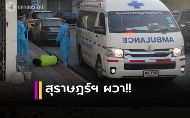สุราษฎร์ธานี ผวา สุราษฎร์ธานี ผวา