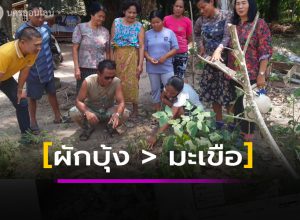 แปลกแต่จริงผักบุ้งออกลูกเป็นมะเขือ