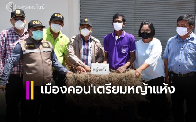 เมืองคอน'เตรียมหญ้าแห้ง 2.4 แสนกิโลกรัม พร้อมแจกจ่ายช่วยเหลือเกษตรกร