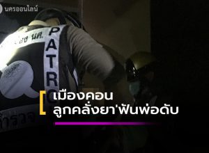 หนุ่มคลั่งยาใช้มีดพร้าฟันพ่อดับ