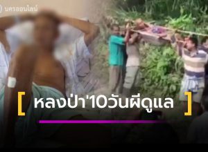 หลงป่า 10 วัน กลับรอดปาฏิหาริย์