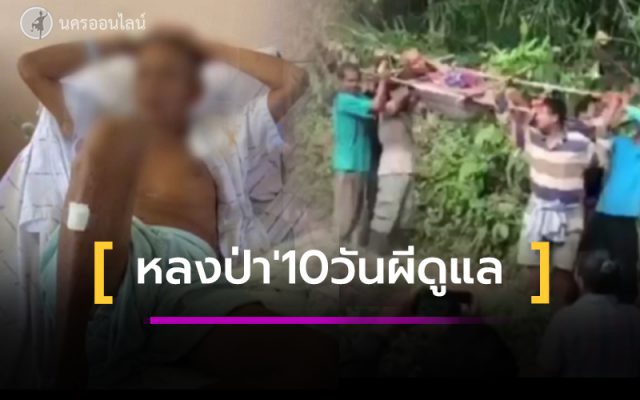 หลงป่า 10 วัน กลับรอดปาฏิหาริย์ หลงป่า 10 วัน กลับรอดปาฏิหาริย์