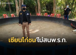 เซียนพนันรวมตัวป่าสวนยางชะอวด