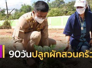 เปิดปฏิบัติการ 90 วัน ปลูกผักสวนครัว