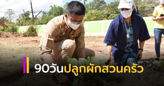 เปิดปฏิบัติการ 90 วัน ปลูกผักสวนครัว