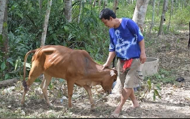 พญาโคบุญรอด” ยิงไม่เข้าฆ่าไม่ตาย