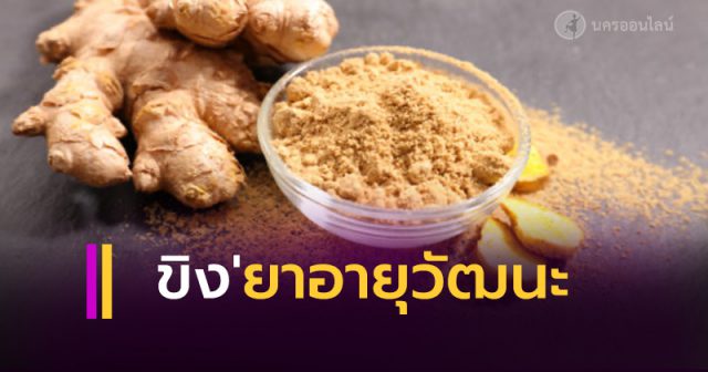 ขิง สุดยอดยาอายุวัฒนะ ขิง สุดยอดยาอายุวัฒนะ