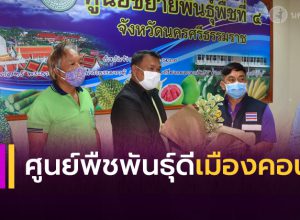 ศูนย์ขยายพันธุ์พืชที่ 4 เมืองคอน พืชพันธุ์ดี