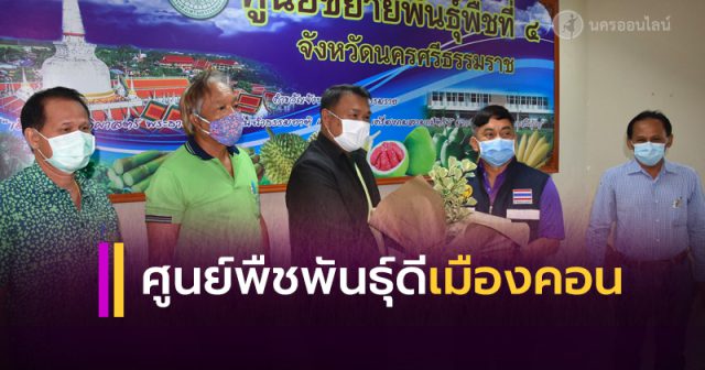 ศูนย์ขยายพันธุ์พืชที่ 4 เมืองคอน พืชพันธุ์ดี ศูนย์ขยายพันธุ์พืชที่ 4 เมืองคอน พืชพันธุ์ดี