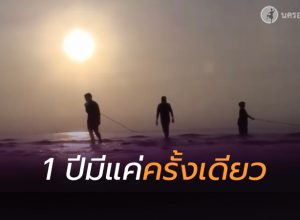 กุ้งเคยทะลักเต็มอ่าวหัวไทร