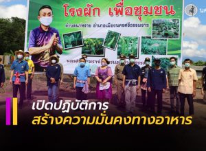 ปลูกผักสวนครัว สร้างความมั่นคงทางอาหาร