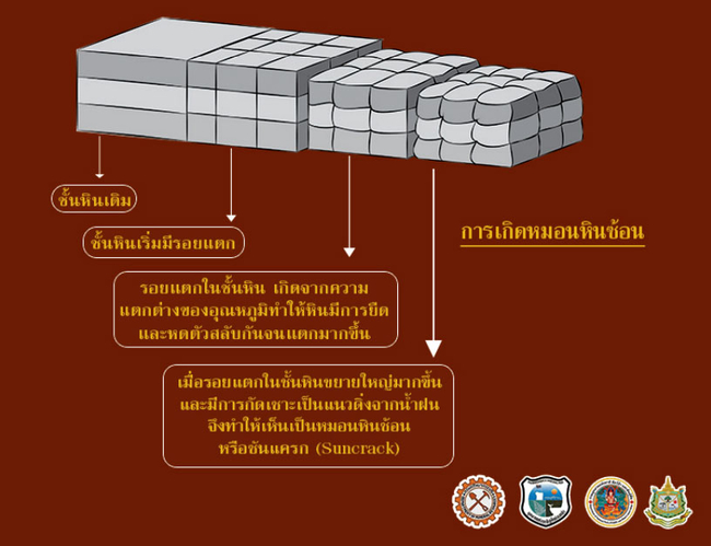 กรมุทยานแห่งชาติสัตว์ป่าและพันธุ์พืช