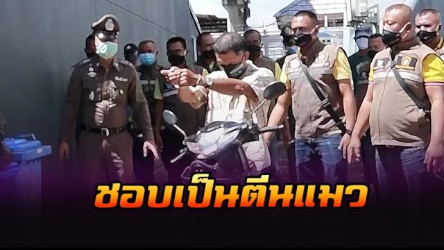 ตีนแมวจนมุม