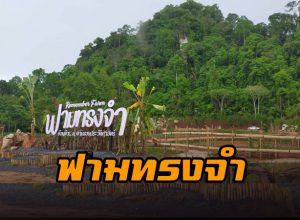 ฟามทรงจำ