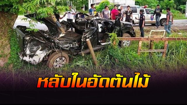 หลับในอัดต้นไม้ หลับในอัดต้นไม้