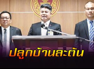 ปลดล็อก พืชกระท่อม