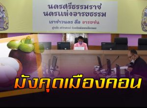 มังคุด นครศรีธรรมราช
