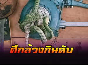 ศึกล้วงกินตับ