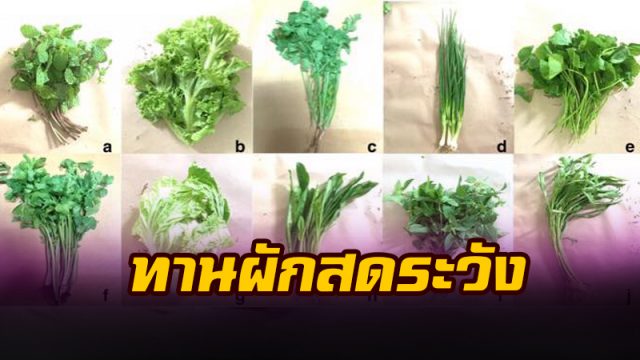 ทานผักสดระวัง