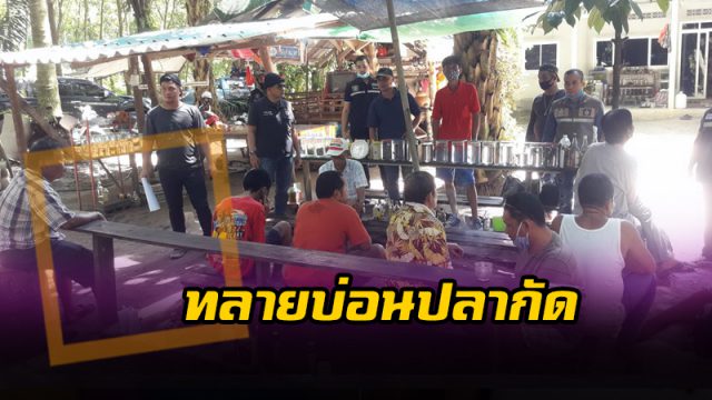 บุกทลายบ่อนพนันปลากัด