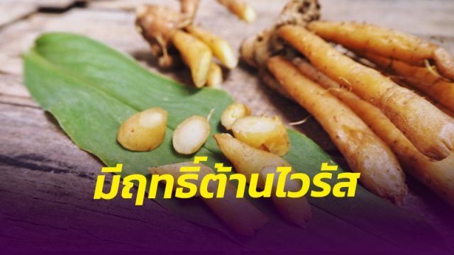 สารสกัดจาก