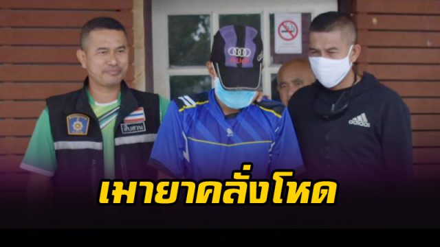 เมายาคลั่งโหด