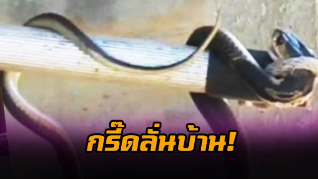 กรี๊ดลั่นบ้าน